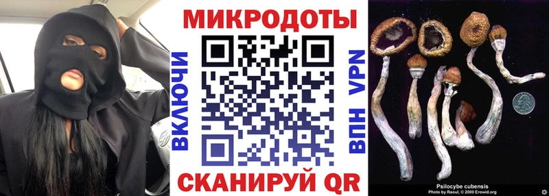 хочу наркоту  Белая Калитва  Псилоцибиновые грибы ЛСД 