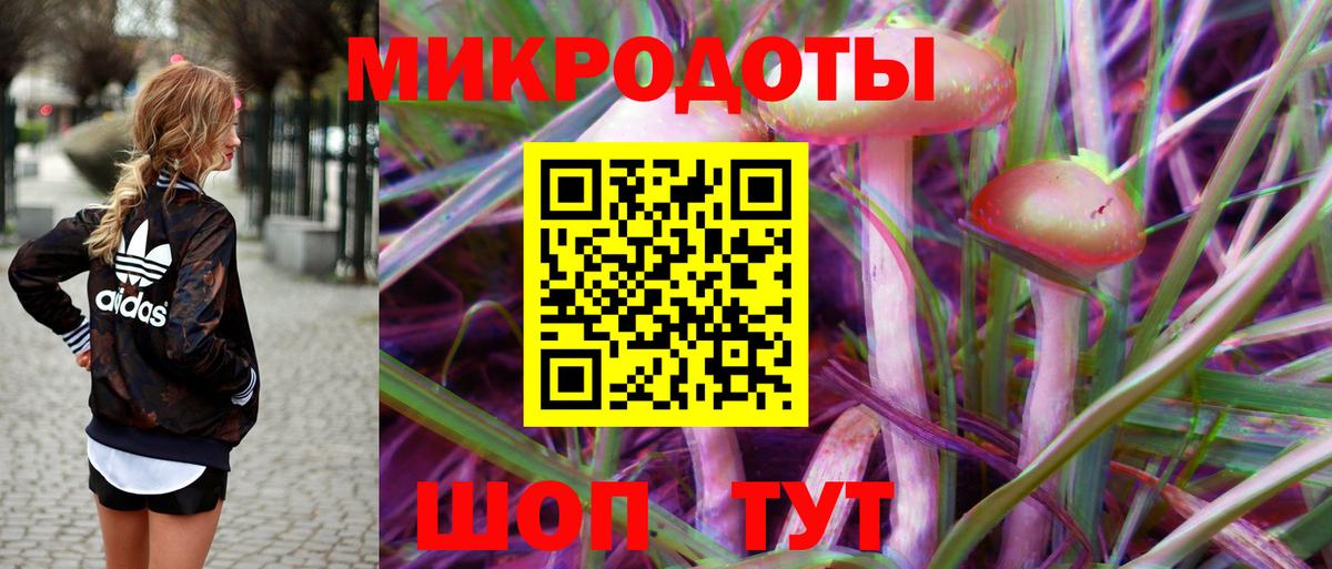 Галлюциногенные грибы мицелий Белая Калитва